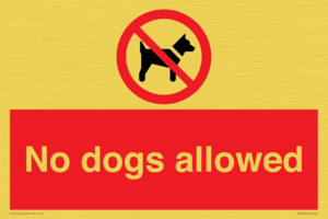 No dogs allowed